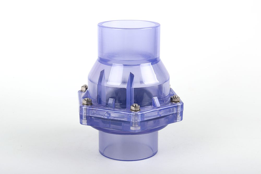 凤台透明翻板式止回阀